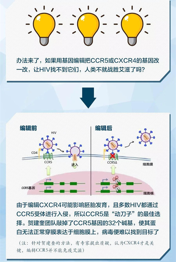 最新感染物，探索未知的挑战与应对策略